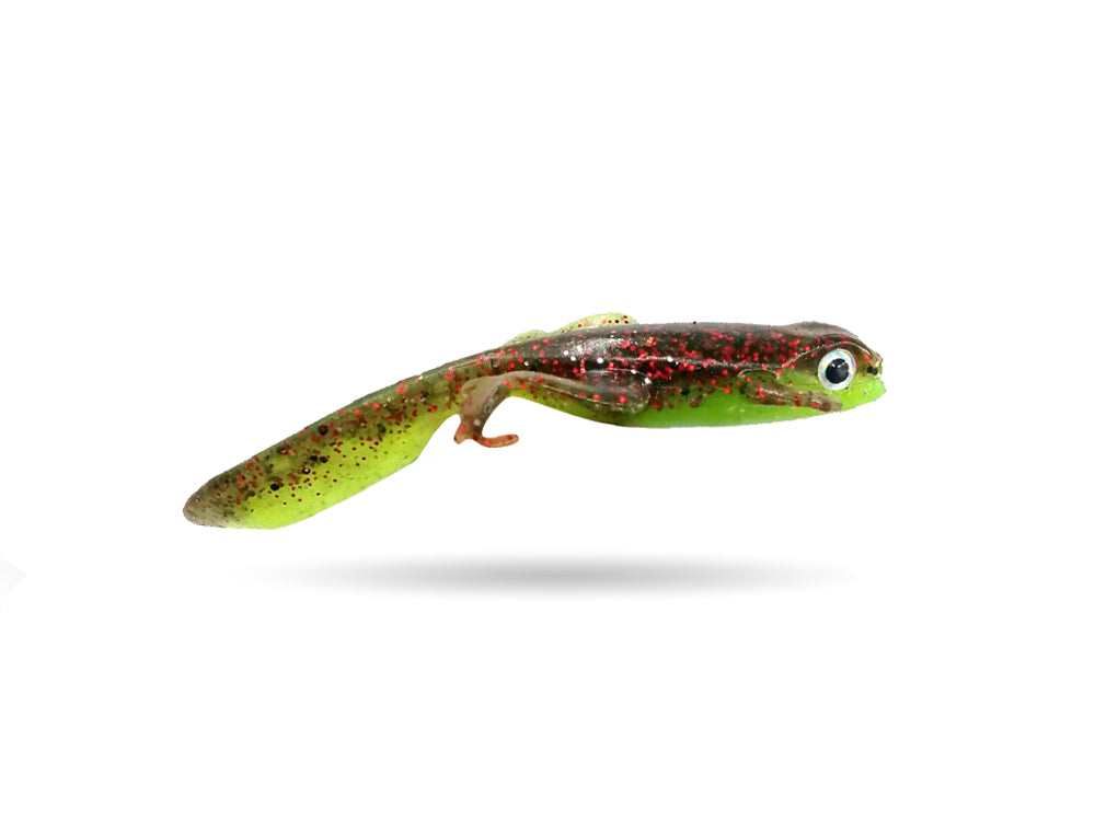 Perch Salamander - 8cm