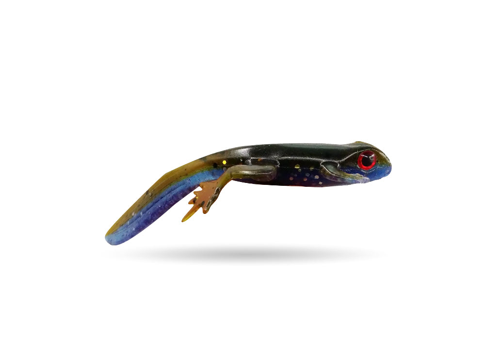 Perch Salamander - 8cm