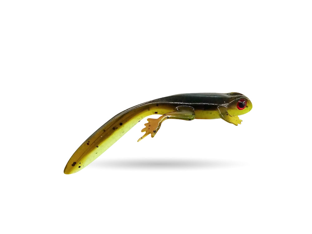 Perch Salamander - 8cm