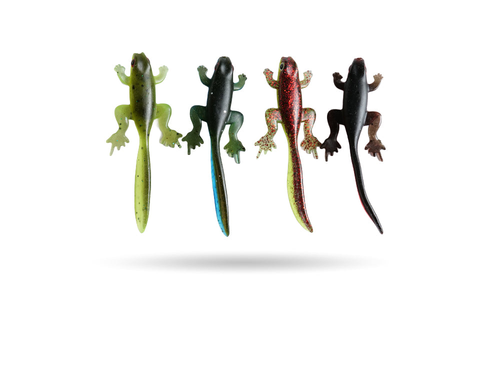 Perch Salamander - 8cm