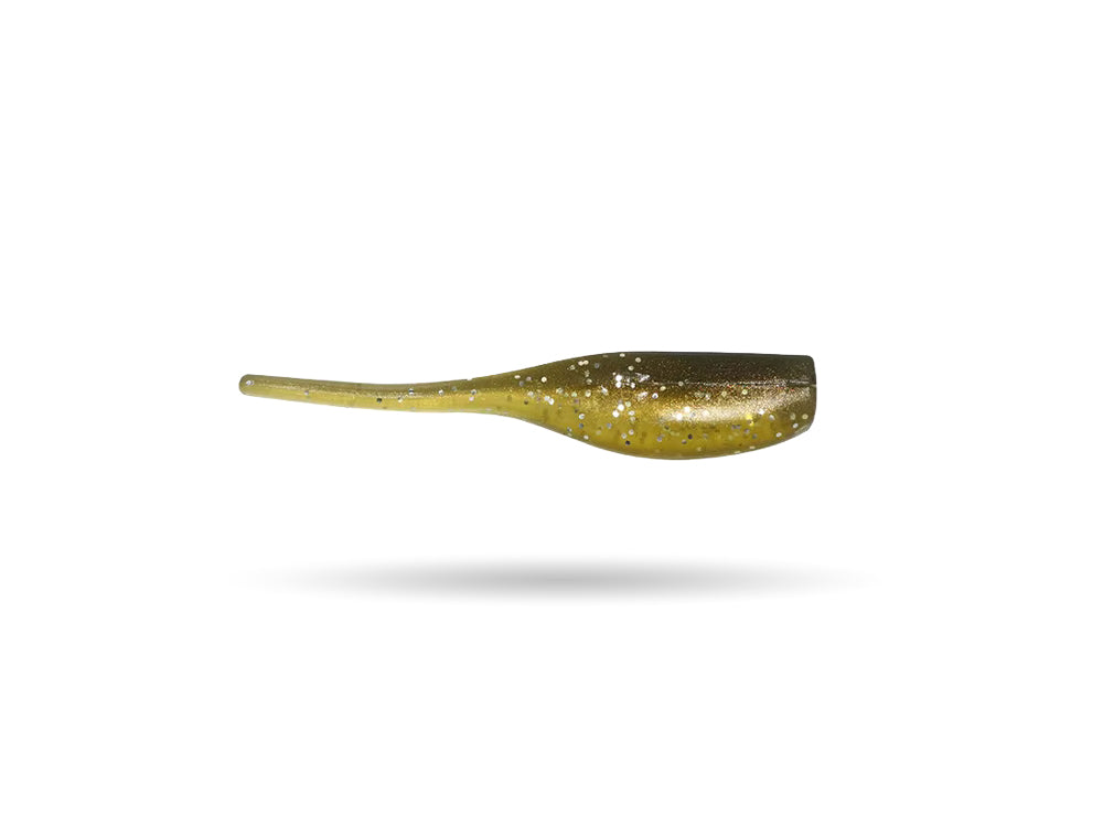 Perch Tadpole - 5cm