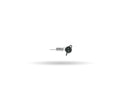 Jig Head Screw (flera olika vikter)
